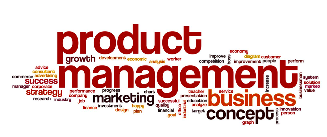 Key Frustrations of a New Product Manager word cloud